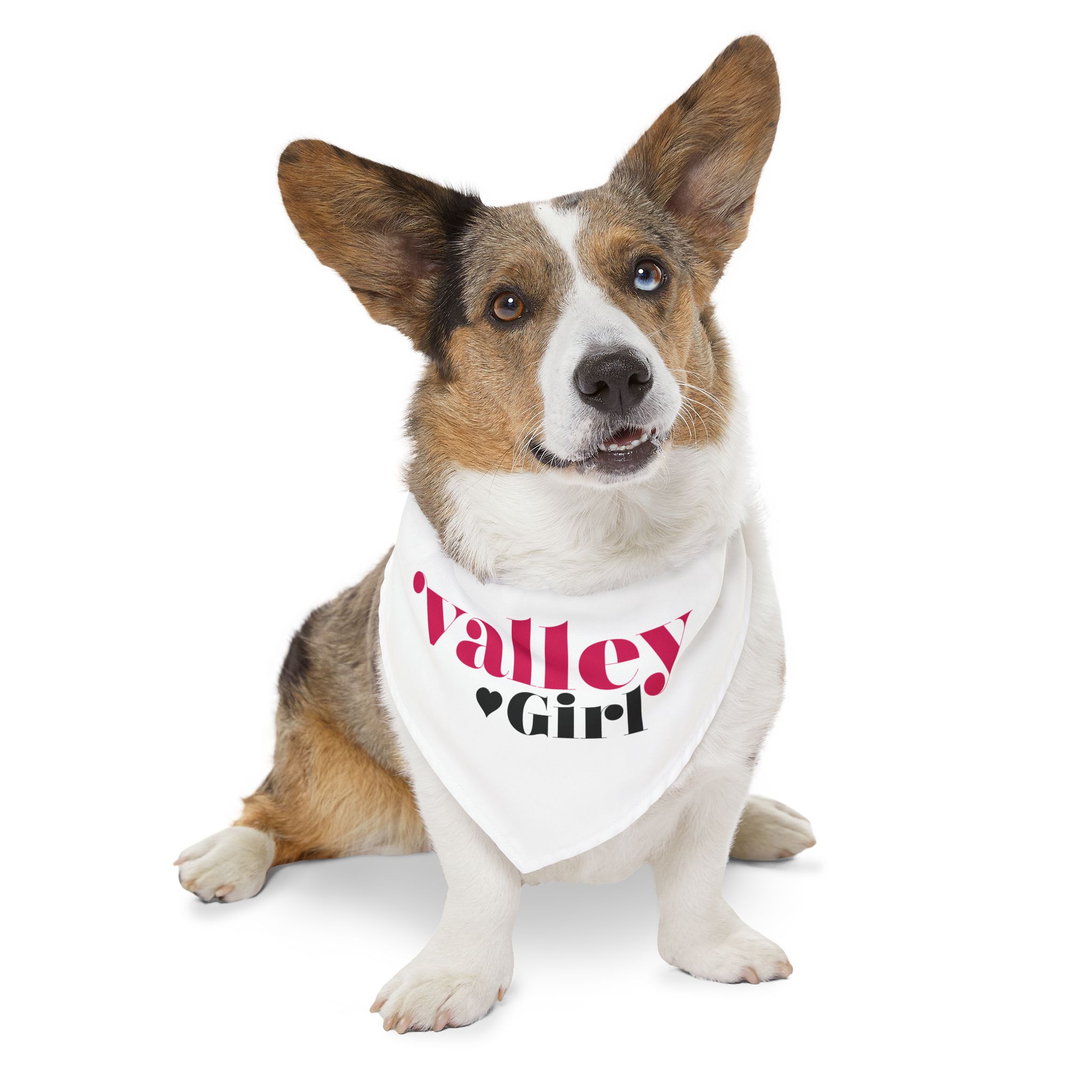 Pet Bandana Collar - Image 10