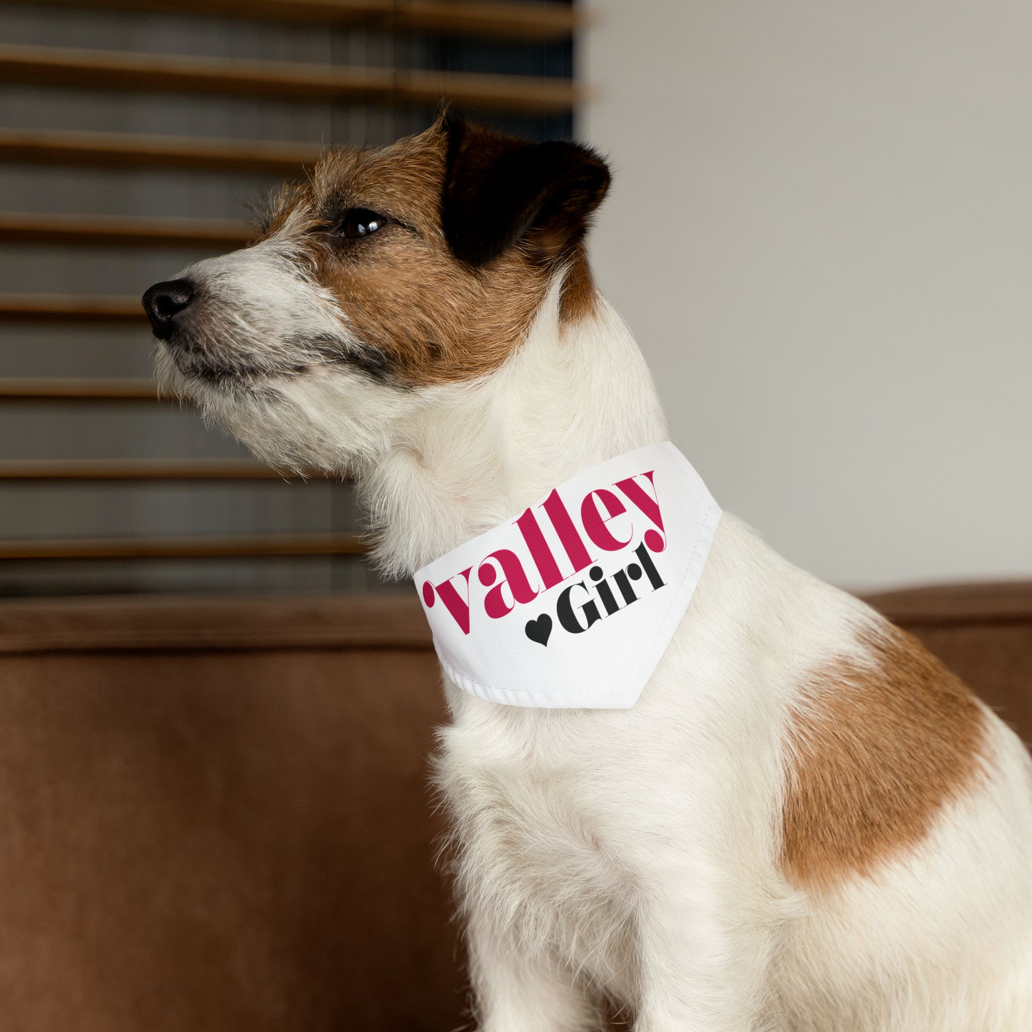 Pet Bandana Collar - Image 8